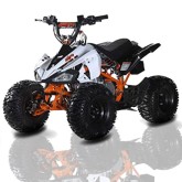 QUAD ATV 110 IMR 1+R