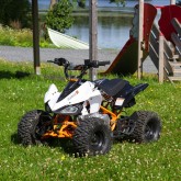 QUAD ATV 110 IMR 1+R