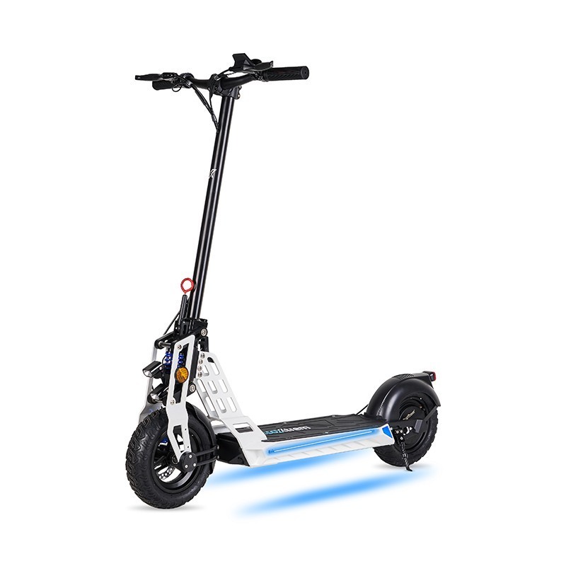 Patinete eléctrico 800W Bison Sport