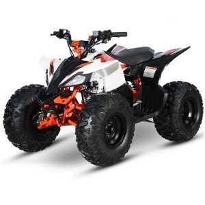 QUAD ATV 110 IMR 1+R