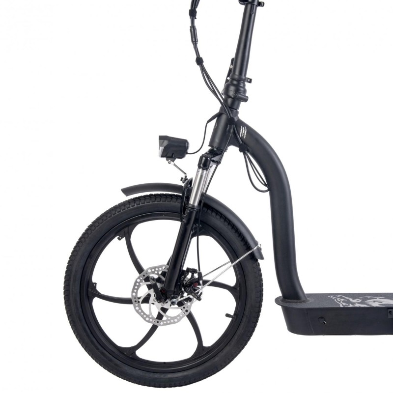 Patinete eléctrico smartgyro Lobo