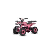 Mini Quad Eléctrico BOOMER 1000W