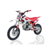 PIT BIKE 110CC SEMI-AUTOMÁTICO APOLLO THUNDER 14/12"