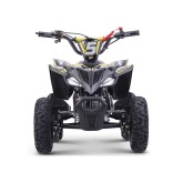 Mini quad 49cc Roan Ratte R6 4.5cv