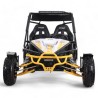 BUGGY TRITON 200 R8 - TECNOLOGIADELVALLE