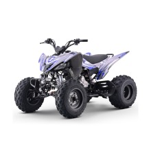 Quad 250cc Roan DAKAR Automático R10