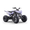 Quad 250cc Roan DAKAR Automático R10