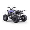 Quad 250cc Roan DAKAR Automático R10