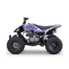 Quad 250cc Roan DAKAR Automático R10
