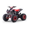 QUAD 110CC AUTOMÁTICO ROAN PANTERA R8