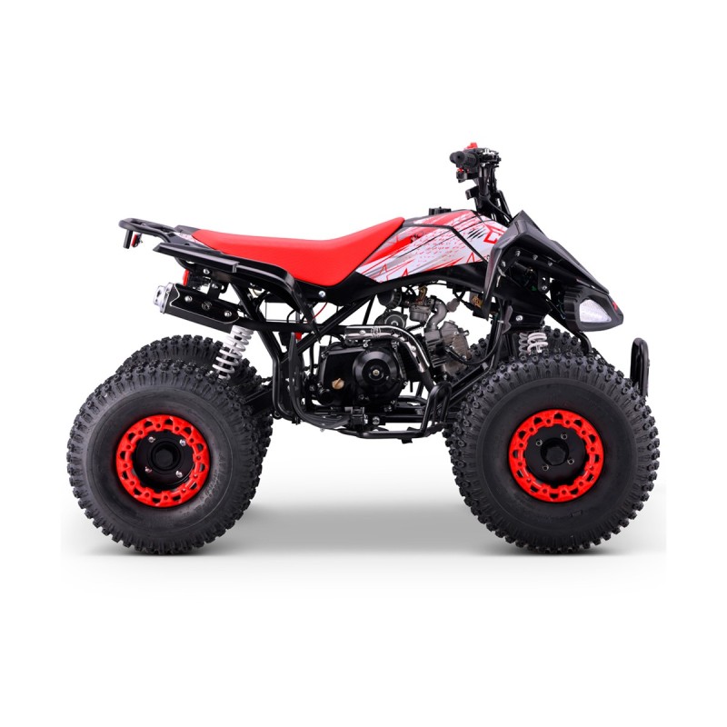 QUAD 110CC AUTOMÁTICO ROAN PANTERA R8