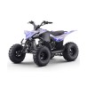 Quad 125cc ROAN DAKAR R8