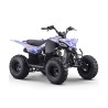 Quad 125cc ROAN DAKAR R8