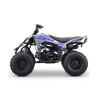 Quad 125cc ROAN DAKAR R8