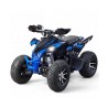 Quad 250cc Roan Typhoon R10 R-N-1-2-3-4