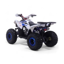 Quad 125CC Roan Coyote Automático R8 D-N-R arranque eléctrico