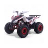 Quad 125CC Roan Coyote Automático R8 D-N-R arranque eléctrico