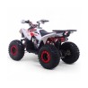 Quad 125CC Roan Coyote Automático R8 D-N-R arranque eléctrico