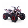 Quad 125CC Roan Coyote Automático R8 D-N-R arranque eléctrico