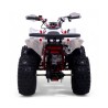 Quad 125CC Roan Coyote Automático R8 D-N-R arranque eléctrico