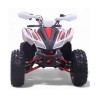Quad 125CC Roan Coyote Automático R8 D-N-R arranque eléctrico