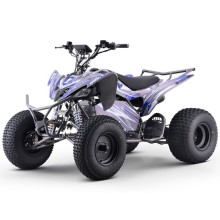 Quad eléctrico 1800W Dakar Roan R10 Brushless