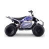 Quad eléctrico 1800W Dakar Roan R10 Brushless