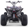 Quad eléctrico 1800W Dakar Roan R10 Brushless