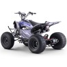 Quad eléctrico 1800W Dakar Roan R10 Brushless