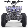 Quad eléctrico 1800W Dakar Roan R10 Brushless