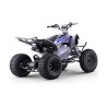 Quad eléctrico 1800W Dakar Roan R10 Brushless