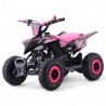 Mini quad gasolina 49cc Roan Ratte R6