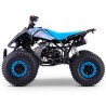 QUAD 110CC AUTOMÁTICO ROAN PANTERA R8 - TECONOLOGIA DEL VALLE