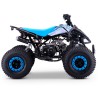 QUAD 110CC AUTOMÁTICO ROAN PANTERA R8 - TECONOLOGIA DEL VALLE