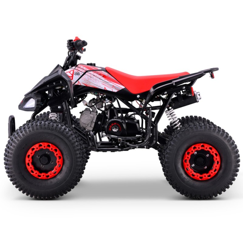 QUAD 110CC AUTOMÁTICO ROAN PANTERA R8 - TECONOLOGIA DEL VALLE