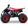 QUAD 110CC AUTOMÁTICO ROAN PANTERA R8 - TECONOLOGIA DEL VALLE