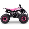 QUAD 110CC AUTOMÁTICO ROAN PANTERA R8 - TECONOLOGIA DEL VALLE