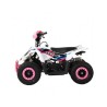 KRX LEGEND Quad 49cc Infantil TECNOLOGIA DEL VALLE