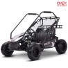 Buggy Eléctrico 2000W OVEX Biplaza