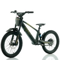 Bicicleta eléctrica sin pedales 750W 20" RFN EVO Racing