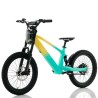 Bicicleta eléctrica sin pedales 750W 20" RFN EVO Racing