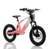 Bicicleta electrica infantil 350W 16" RFN Evo-S