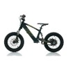 Bicicleta electrica infantil 350W 16" RFN Evo-S - TECNOLOGIADELVALLE