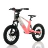 Bicicleta electrica infantil 350W 16" RFN Evo-S - TECNOLOGIADELVALLE