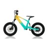 Bicicleta electrica infantil 350W 16" RFN Evo-S