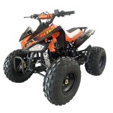 QUAD MALCOR 110CC KF8