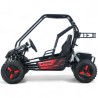 Buggy eléctrico 1500W 60V 20Ah para niño TECNOLOGIA DEL VALLE