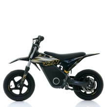 Minimoto Eléctrica RFN Warrior SX-E250 Supermotard 250W 12/12