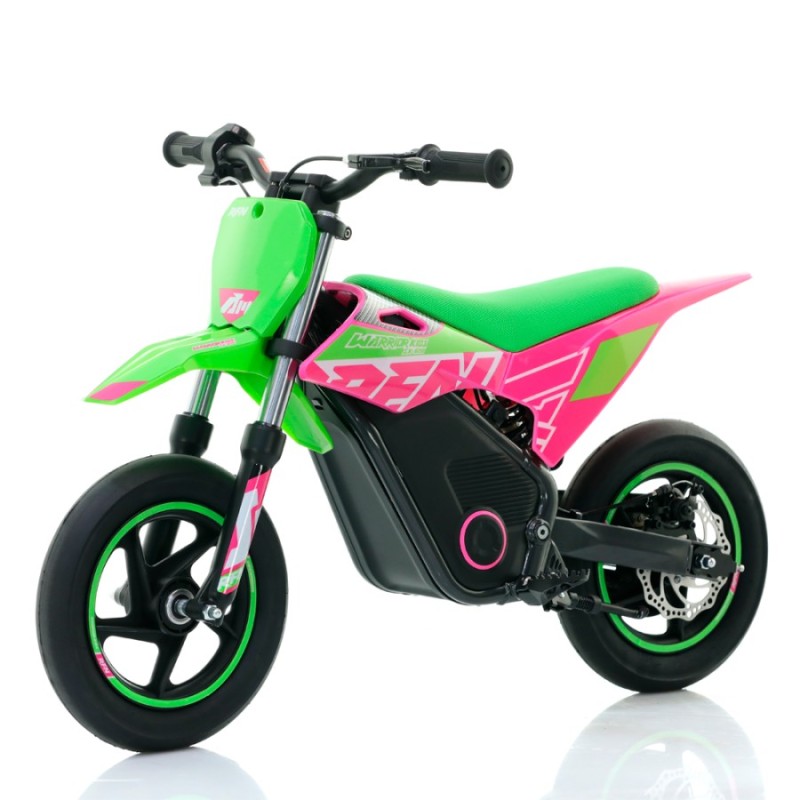 Minimoto Eléctrica RFN Warrior SX-E250 Supermotard 250W 12/12
