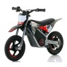 Mini moto Warrior eléctrica 150W roan MX150 12/12